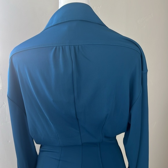 Cinq a Sept brand new dress. Long ruched sleeve. Beautiful Laguna color - Picture 3 of 7